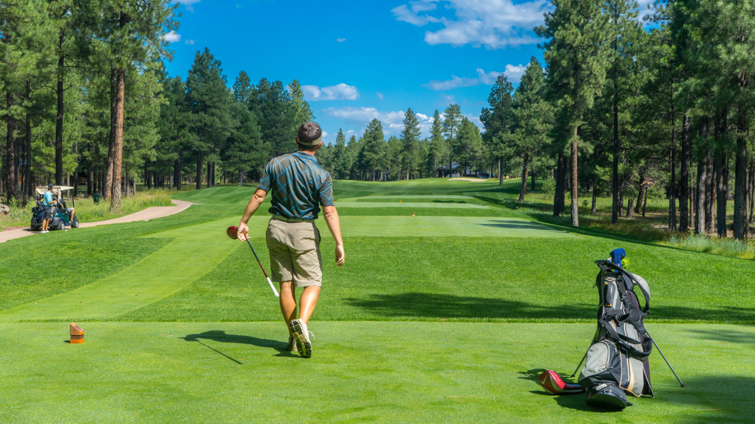 Best buddies games to play on the golf course