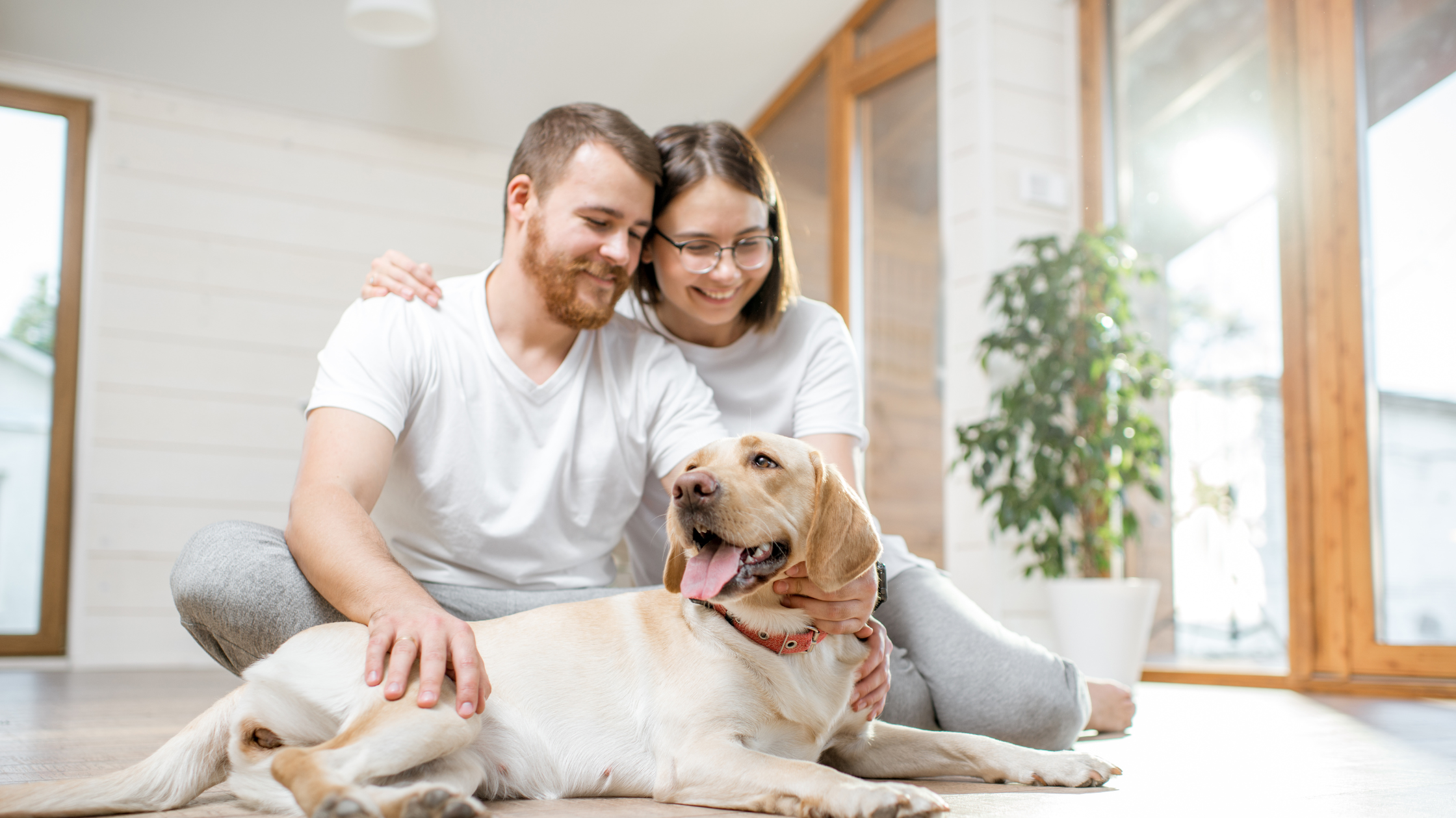 Unlock your home's potential with a cash-out refinance. Access cash, consolidate debt, or fund home improvements.
