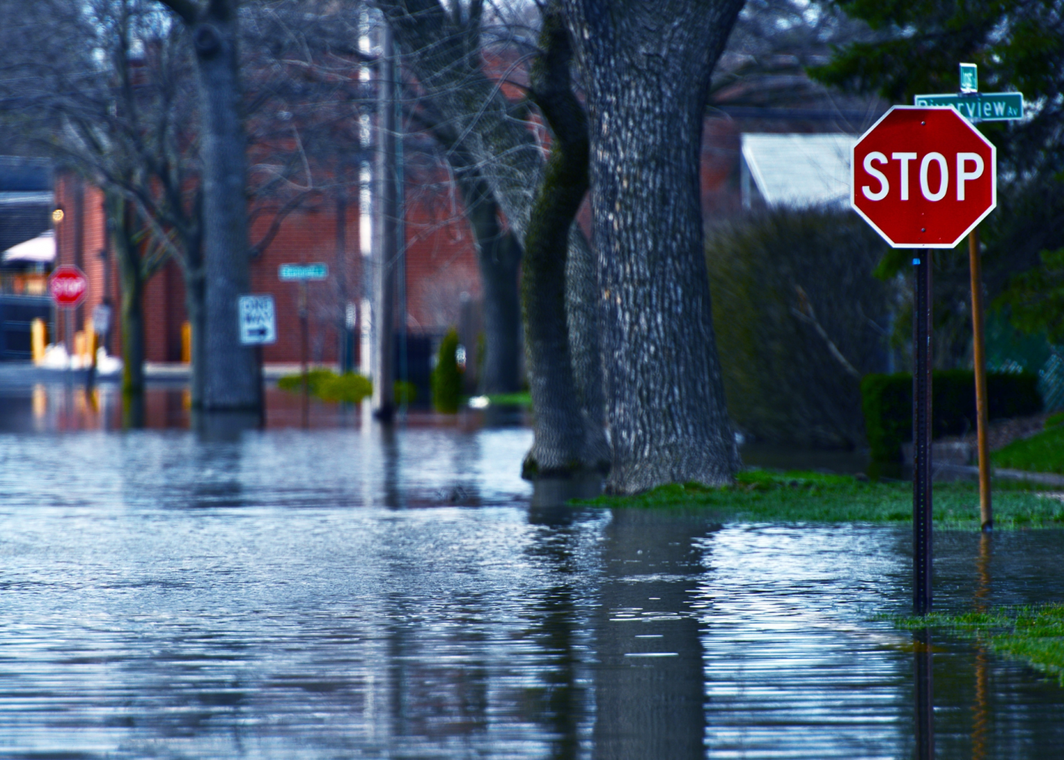 Thinking about buying a house in a flood zone? Learn the risks, insurance costs, and mortgage requirements so you can make a smart homebuying decision.